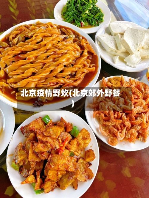 北京疫情野炊(北京郊外野餐)