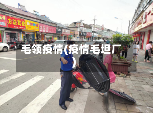 毛领疫情(疫情毛坦厂)