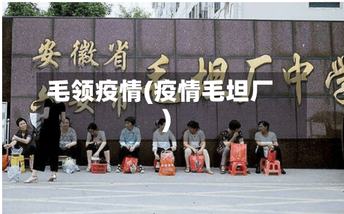 毛领疫情(疫情毛坦厂)-第3张图片