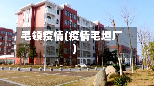 毛领疫情(疫情毛坦厂)-第2张图片