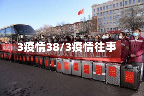 3疫情38/3疫情往事-第2张图片