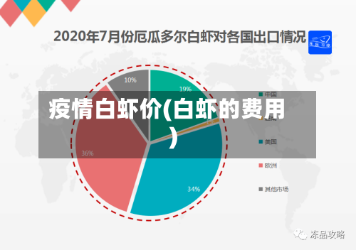 疫情白虾价(白虾的费用)-第3张图片