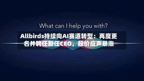 Allbirds持续向AI赛道转型：再度更名并聘任新任CEO	，股价应声暴涨-第2张图片