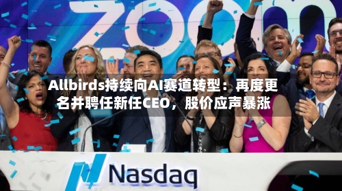 Allbirds持续向AI赛道转型：再度更名并聘任新任CEO，股价应声暴涨