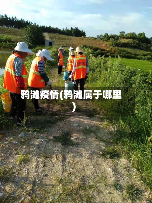 鸦滩疫情(鸦滩属于哪里)-第2张图片