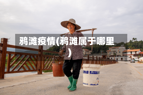 鸦滩疫情(鸦滩属于哪里)-第3张图片