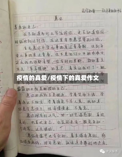 疫情的真爱/疫情下的真爱作文