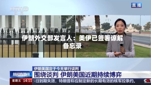伊朗外交部发言人:美伊已签署谅解备忘录-第2张图片