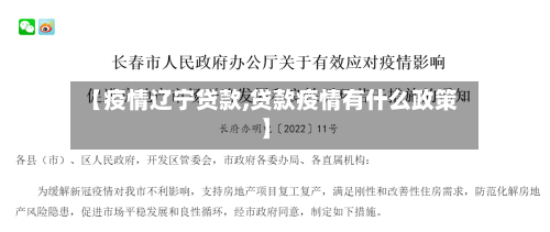 【疫情辽宁贷款,贷款疫情有什么政策】-第3张图片