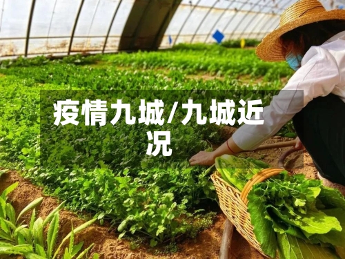疫情九城/九城近况