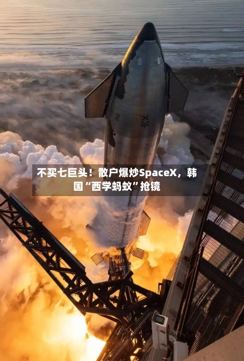 不买七巨头！散户爆炒SpaceX	，韩国“西学蚂蚁	”抢镜-第3张图片