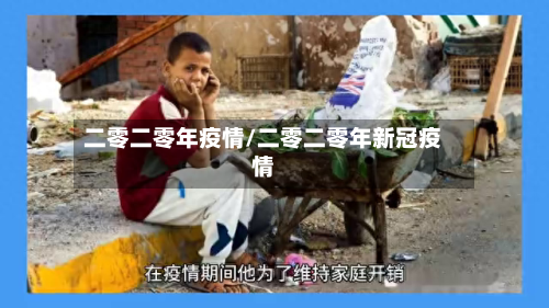 二零二零年疫情/二零二零年新冠疫情