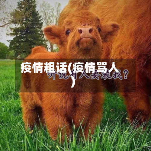 疫情粗话(疫情骂人)