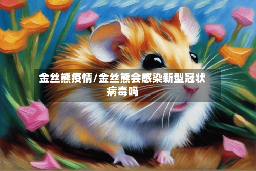 金丝熊疫情/金丝熊会感染新型冠状病毒吗