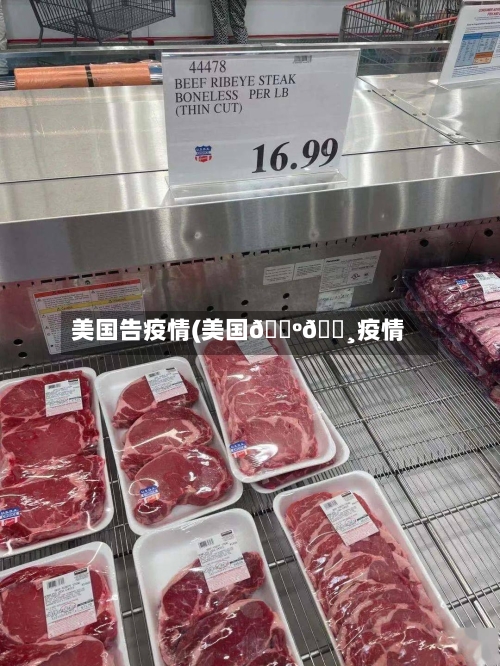 美国告疫情(美国🇺🇸疫情)