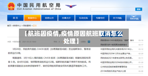 【航班因疫情,疫情原因航班取消怎么处理】-第3张图片