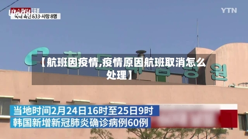 【航班因疫情,疫情原因航班取消怎么处理】-第2张图片