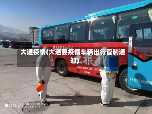 大通疫情(大通县疫情车辆出行管制通知)-第3张图片
