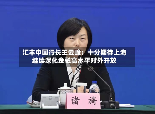 汇丰中国行长王云峰：十分期待上海继续深化金融高水平对外开放-第3张图片