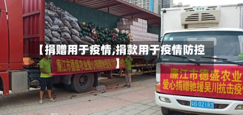 【捐赠用于疫情,捐款用于疫情防控】