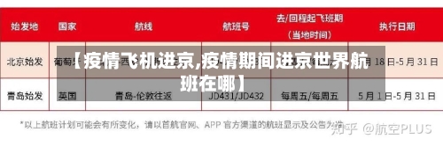 【疫情飞机进京,疫情期间进京世界航班在哪】