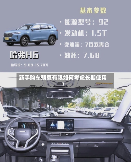 新手购车预算有限如何考虑长期使用?-第2张图片