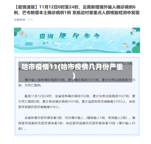 哈市疫情11(哈市疫情几月份严重)-第2张图片