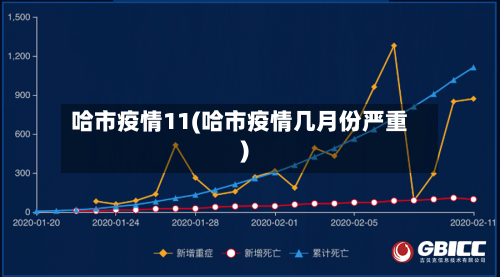 哈市疫情11(哈市疫情几月份严重)-第3张图片