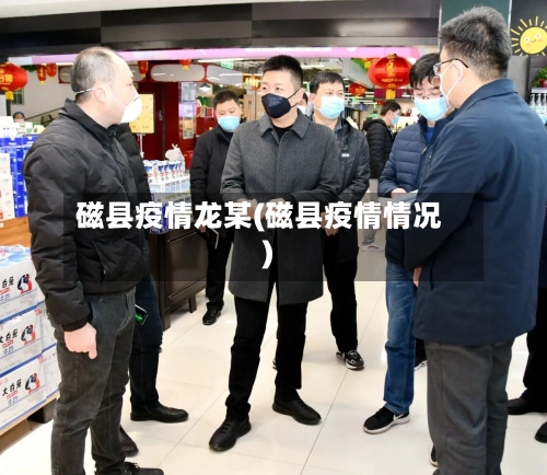 磁县疫情龙某(磁县疫情情况)-第3张图片