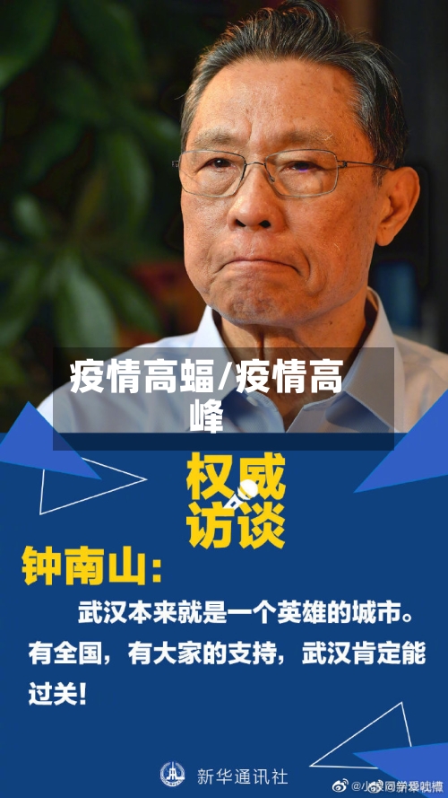 疫情高蝠/疫情高峰-第2张图片