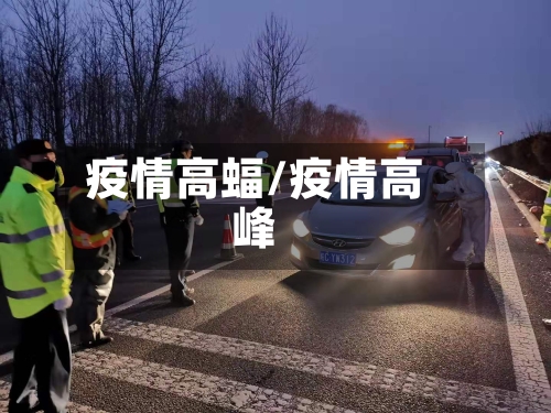 疫情高蝠/疫情高峰-第3张图片
