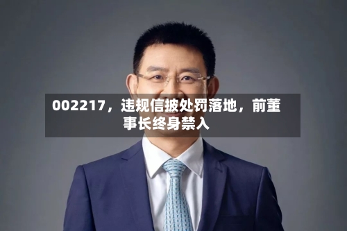 002217，违规信披处罚落地，前董事长终身禁入-第2张图片