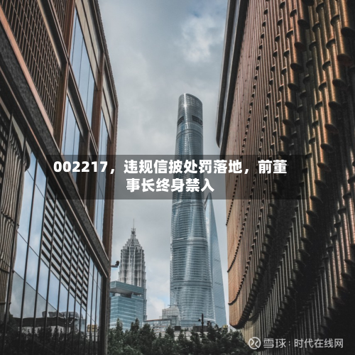 002217，违规信披处罚落地，前董事长终身禁入