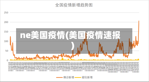 ne美国疫情(美国疫情速报)