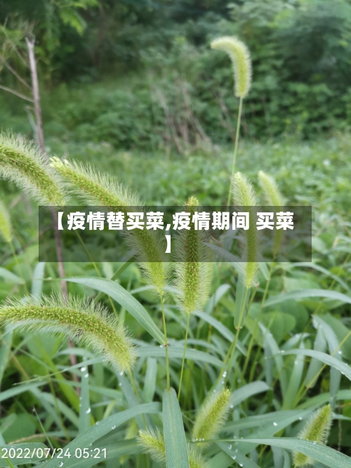 【疫情替买菜,疫情期间 买菜】-第2张图片