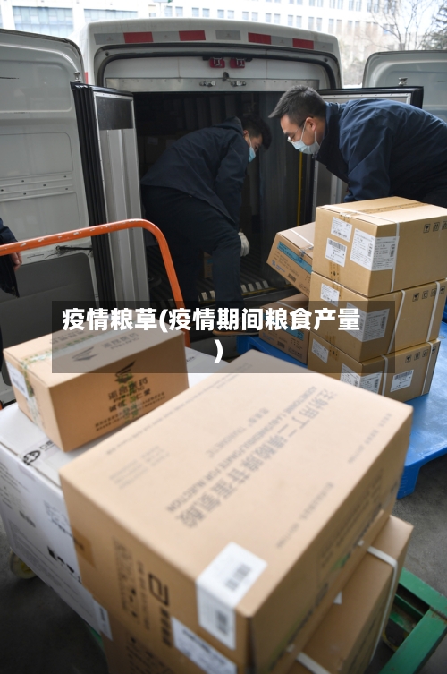 疫情粮草(疫情期间粮食产量)