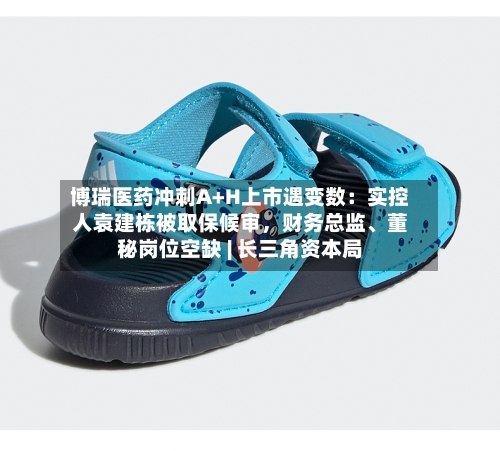 博瑞医药冲刺A+H上市遇变数：实控人袁建栋被取保候审，财务总监、董秘岗位空缺 | 长三角资本局-第2张图片