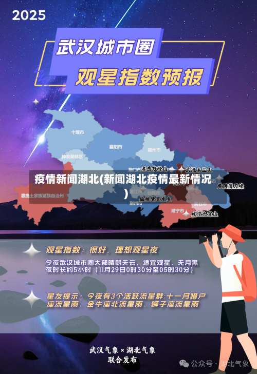 疫情新闻湖北(新闻湖北疫情最新情况)-第3张图片