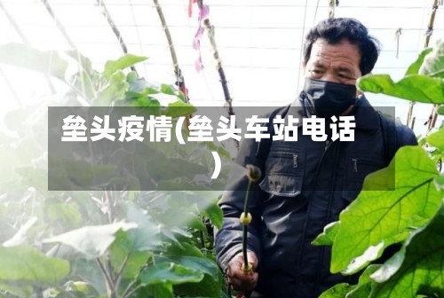 垒头疫情(垒头车站电话)