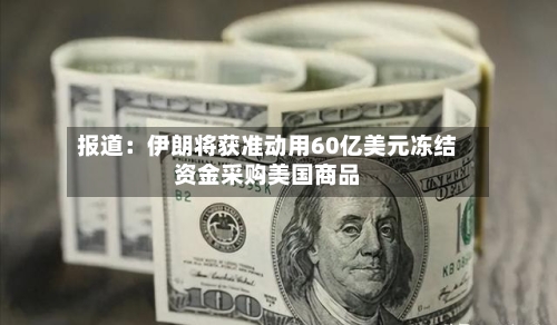 报道：伊朗将获准动用60亿美元冻结资金采购美国商品