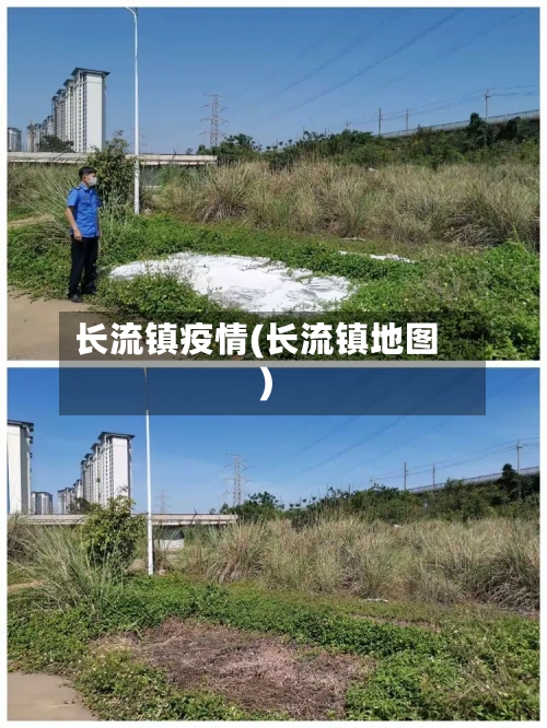 长流镇疫情(长流镇地图)