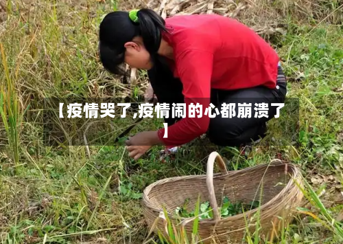 【疫情哭了,疫情闹的心都崩溃了】-第2张图片