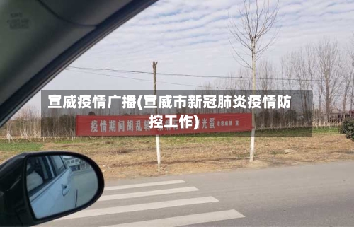 宣威疫情广播(宣威市新冠肺炎疫情防控工作)-第3张图片