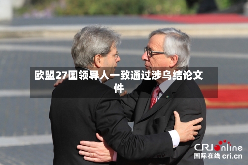欧盟27国领导人一致通过涉乌结论文件-第2张图片