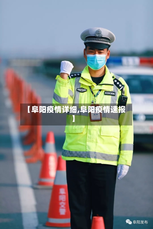 【阜阳疫情详细,阜阳疫情速报】-第2张图片