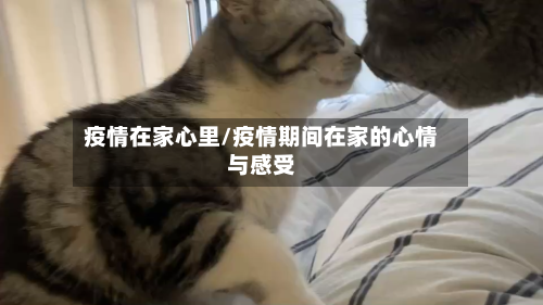 疫情在家心里/疫情期间在家的心情与感受