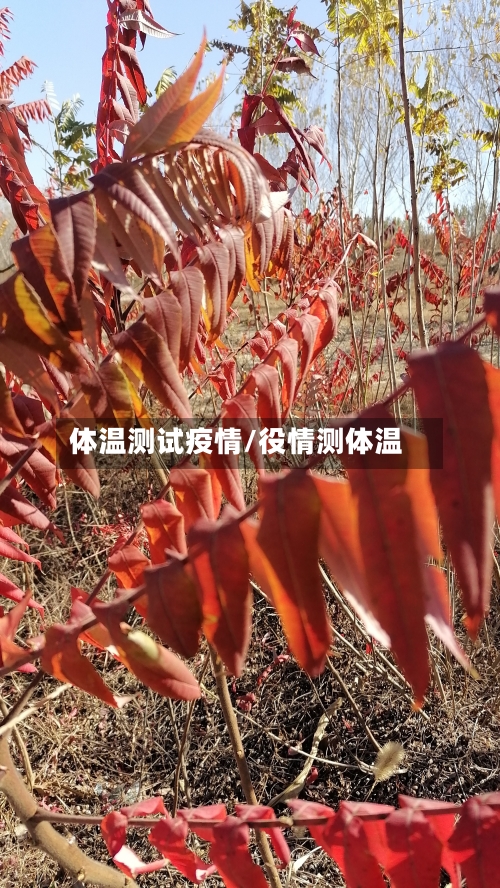 体温测试疫情/役情测体温