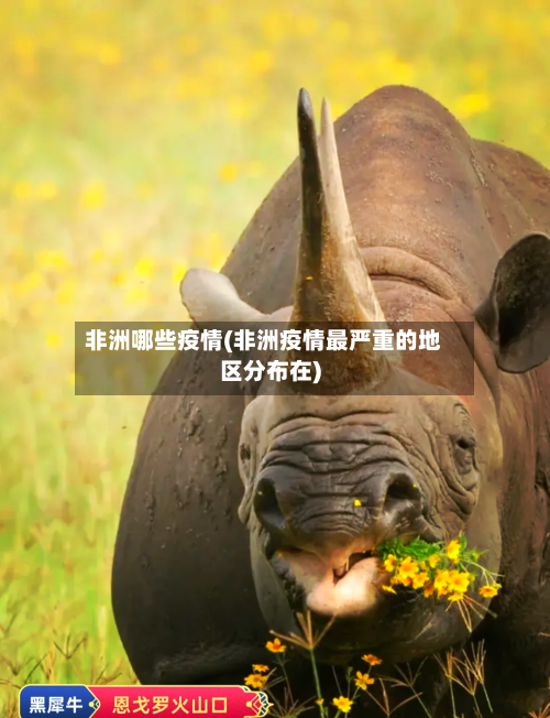 非洲哪些疫情(非洲疫情最严重的地区分布在)-第2张图片