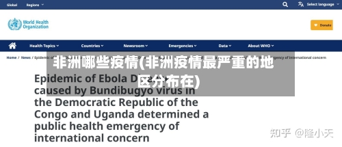 非洲哪些疫情(非洲疫情最严重的地区分布在)