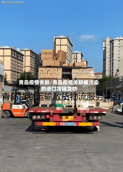 青岛疫情关联/青岛疫情关联被污染的进口冷链货物